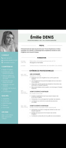 Photo de galerie - Voici mon CV