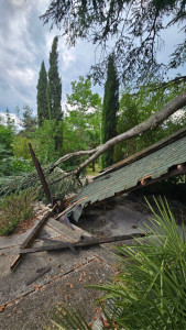 Photo de galerie - Débitage d’une branche tombée sur un cabanon plus enlèvement du cabanon