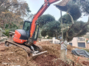 Photo de galerie - Déplacement a la pelle hydraulique d'arbre et d'arbuste en tout genre 