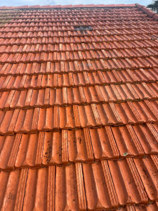 Photo de galerie - Demoussage avec produit professionnel d’Alep