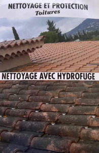 Photo de galerie - Nettoyage avec Hydrofuge 