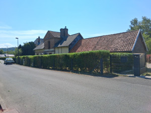 Photo de galerie - Taille 