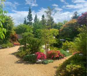 Photo de galerie - Jardinage et entretien de massifs 