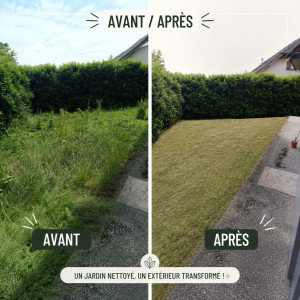 Photo de galerie - Petite tonte avant de rendre l'appartement 
