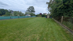 Photo de galerie - Tonte de pelouse