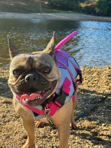 Photo de galerie - Balade à la rivière avec notre chérie de 2 ans 
