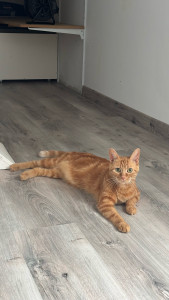Photo de galerie - Garde à mon domicile 