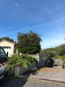 Photo de galerie - Taille d’un cyprès  à Saint-Génies-Bellevue