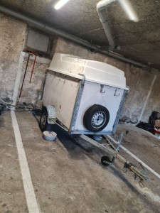 Photo de galerie - Remorque fermer
avec toit qui ce lève
hauteur dans remorque 1m50
long 1m95 porte fermer mais au cas où la porte peut s'enlever