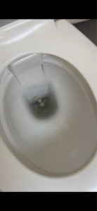 Photo de galerie - Ménage