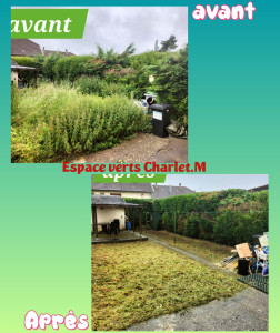 Photo de galerie - Débroussaillage haute herbes 