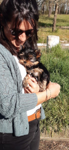 Photo de galerie - Promenade régulière et toilettage du petit Apy 