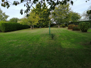 Photo de galerie - Tonte de pelouse avec évacuation 