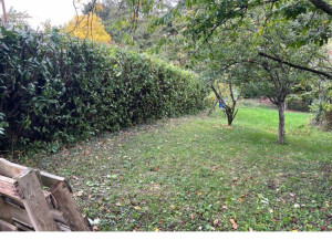 Photo de galerie - Taille de haies après 