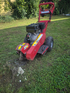 Photo de galerie - Rognage de souches ??