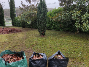 Photo de galerie -  Réalisation de tous types d’interventions de jardinage : entretien des espaces verts, tonte de pelouse, taille de haies et d’arbustes, désherbage, plantations et nettoyage extérieur.