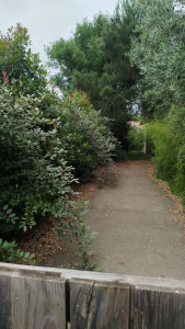 Photo de galerie - Paysagiste - Aménagement du jardin