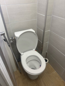 Photo de galerie - Rénovation complète de  toilette ainsi que la pause d’un kit douchette d’hygiène