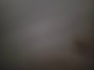 Photo de galerie - à votre service 