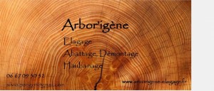 Photo de galerie - Arbor'igène
taille, élagage arbre
abattage difficiles