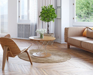 Photo de galerie - Aide à l'entretien de vos intérieur 