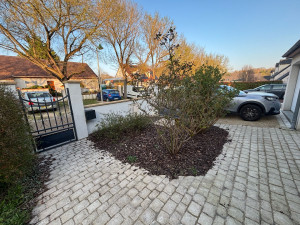 Photo de galerie - Elagage et coupe d'arbres