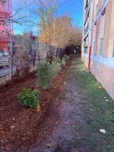 Photo de galerie - Paysagiste - Aménagement du jardin