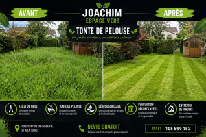Photo de galerie - Tonte de pelouse - Débroussaillage
