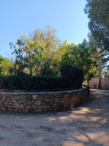 Photo de galerie - Taille haie 