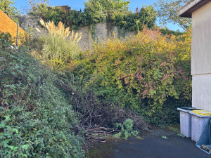Photo de galerie - Remis en état de jardin avant 