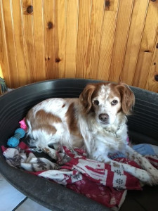 Photo de galerie - Hadès 2020