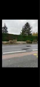 Photo de galerie - Taille de haies et d'arbustes