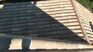 Photo de galerie - Rustre