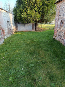 Photo de galerie - Tonte de pelouse - Débroussaillage