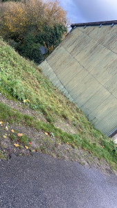 Photo de galerie - Tonte de pelouse - Débroussaillage