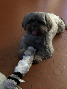 Photo de galerie - Séjours réguliers de Thao