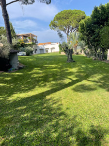 Photo de galerie - Tonte