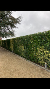 Photo de galerie - Travail propre et soigné avec évacuation 