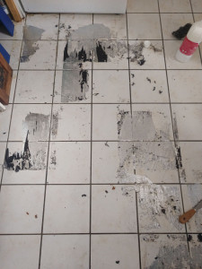 Photo de galerie - Avant nettoyage 