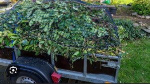 Photo de galerie - Taille de haie et élagage, enlèvement des déchets vert .