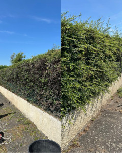 Photo de galerie - Avant/ Après 