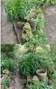 Photo de galerie - ...