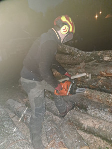 Photo de galerie - évacuation des bois, vente de bois de chauffage 