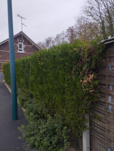 Photo de galerie - Espace vert 