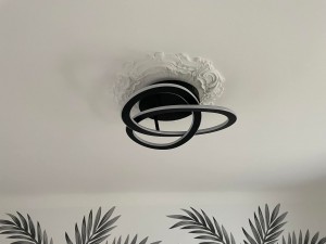 Photo réalisation - Installation électrique - Ludovic (Ludo Rénov) - Seiches-sur-le-Loir : Plafond et luminaire