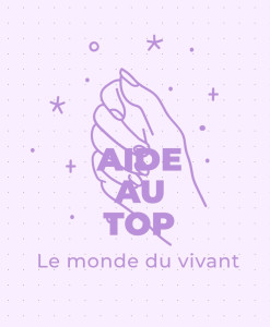 Photo de galerie - Tous services 