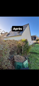 Photo de galerie - Elagage et coupe d'arbres