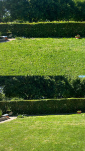 Photo de galerie - Avant / Après 