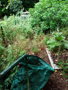 Photo de galerie - Tonte de pelouse - Débroussaillage