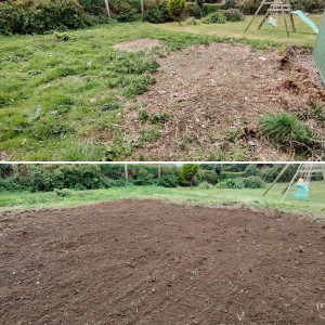 Photo de galerie - Paysagiste - Aménagement du jardin